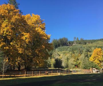 The Cabins At Beaver Creek