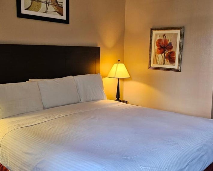 Bellis Inn