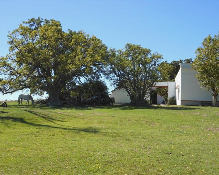 Estancia Los Plátanos