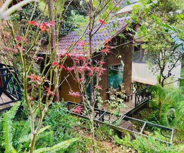 Bazan Home - Hotel & Bungalow
