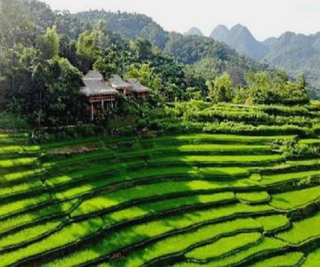 Pu Luong Boutique Garden