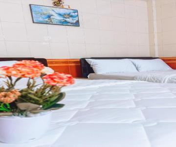 Hong Ha Guesthouse