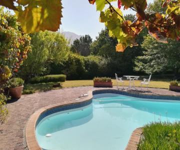 Le Petit Vignoble