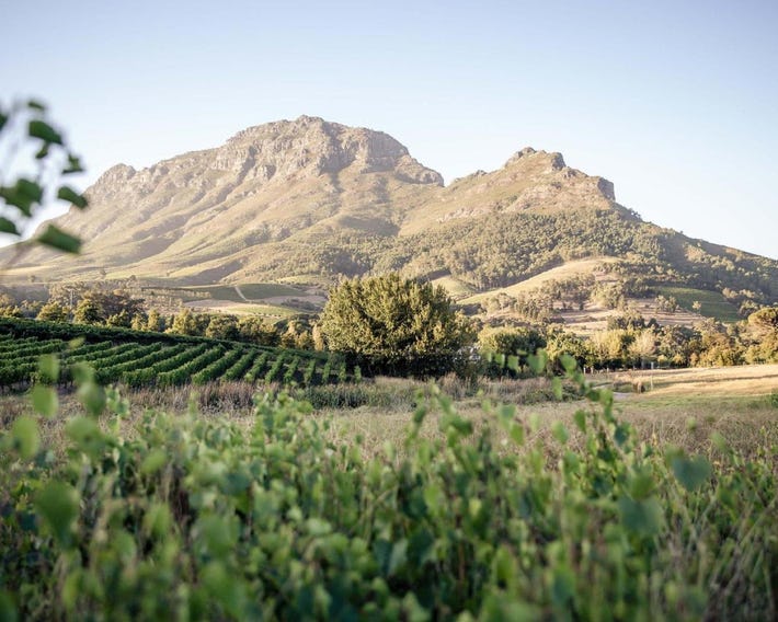 Le Pommier Wine Estate