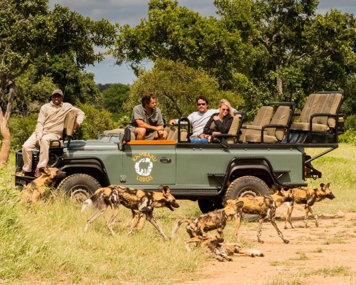 Kambaku Safari Lodge