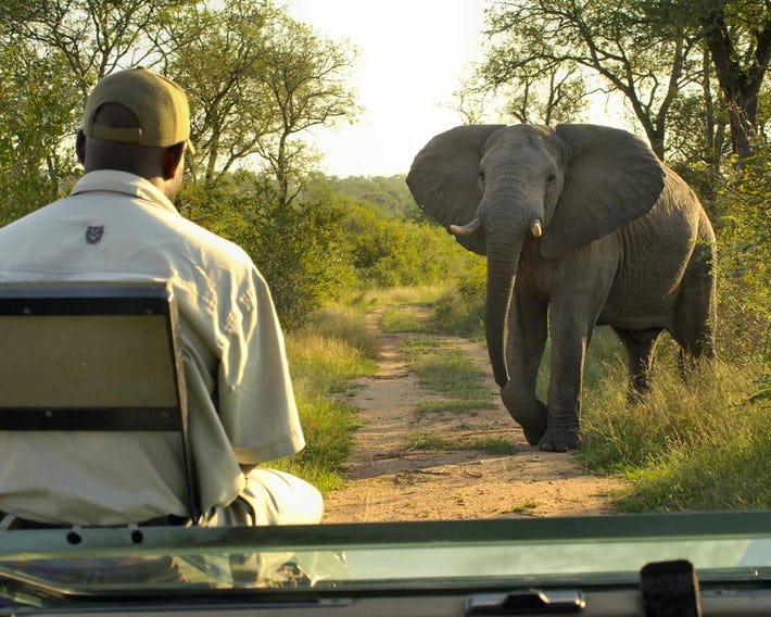 Lukimbi Safari Lodge