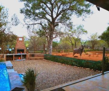 Flight of the Eagle at Kruger