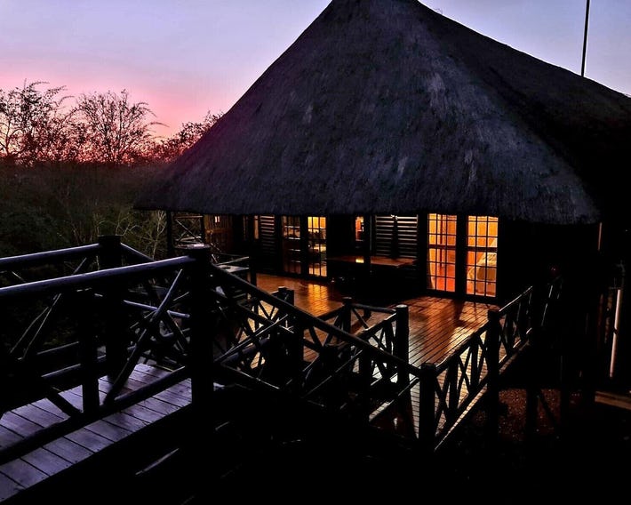 Lion Tree Bush Lodge