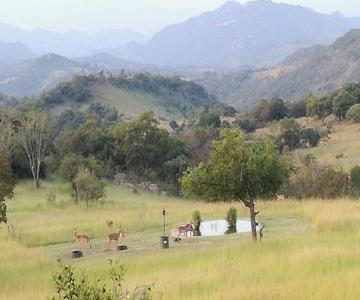 atNature Luxury Cottages