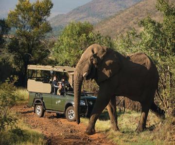 Kwa Maritane Lodge