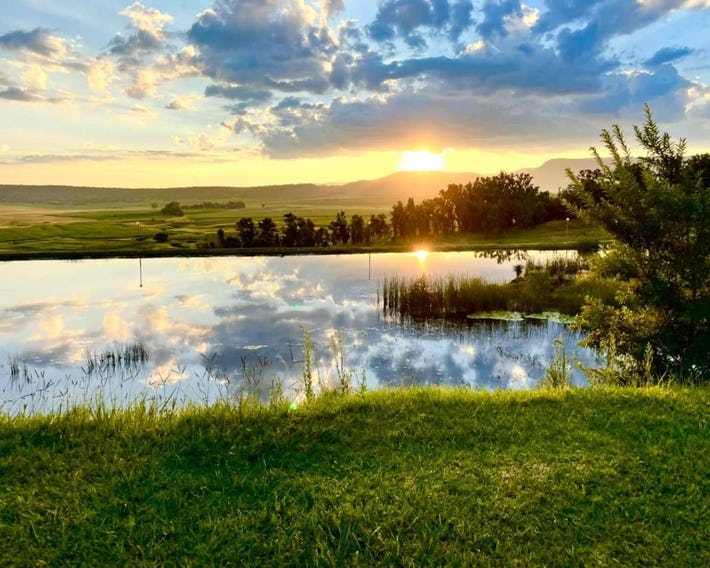Grey Goose Game Lodge